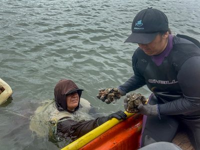 Las pescadoras de Sinaloa reman contra la violencia y el olvido oficial
