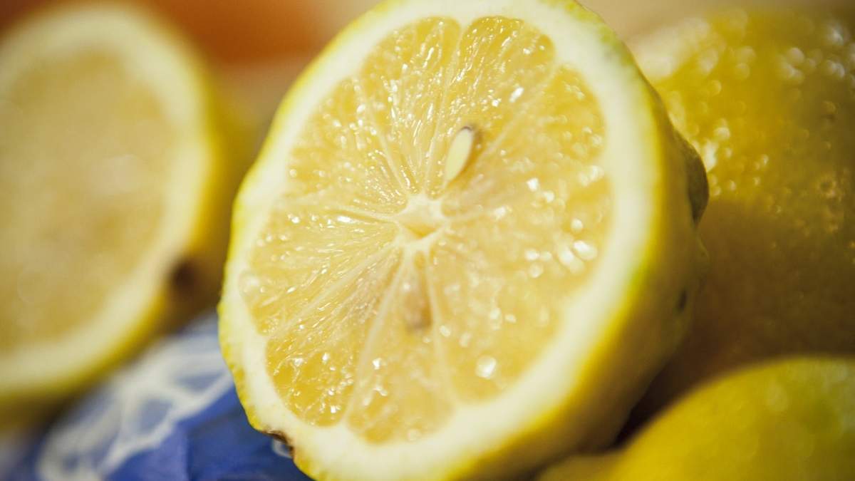 Suspenden temporalmente exportación limón. Fuente: (Twitter)