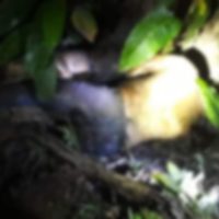 En menos de dos semanas hallan siete cadáveres tabasqueños en pueblos de Chiapas