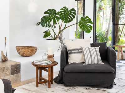 Monstera deliciosa: cómo mantener esta hermosa planta de interior que atrae el dinero y la armonía