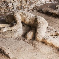 Increíble descubrimiento: hallan neuronas conservadas de una víctima de la erupción en Pompeya