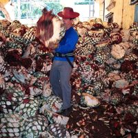 Acuerdo con la UE prioriza inversión extranjera, pero descuida a empresas mexicanas, alerta experto
