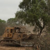 Ponen un parate a los desmontes ilegales en Salta: hay 7 departamentos en la mira