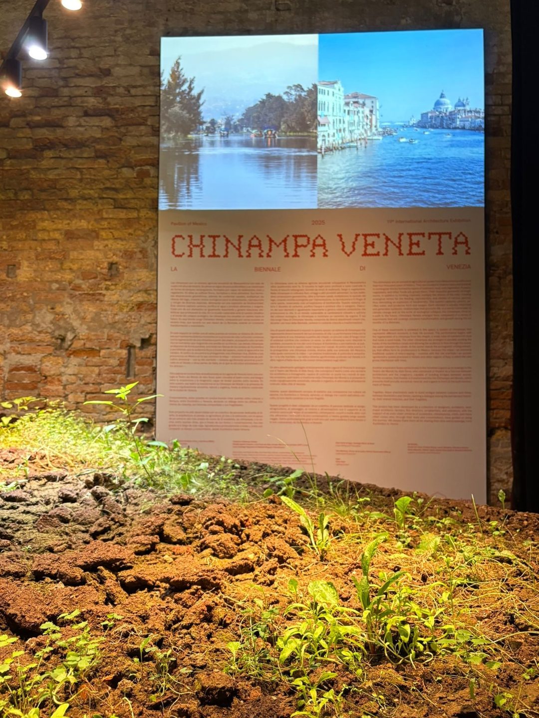 Entrada a la muestra mexicana en Venecia. Foto Cortesía integrantes del proyecto