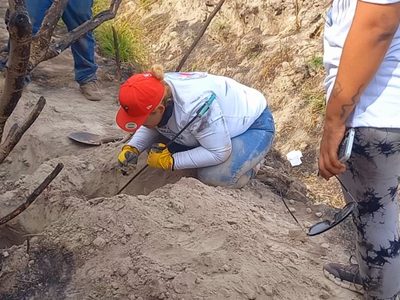Colectivos exigen parlamento abierto para analizar estrategia de Sheinbaum contra desapariciones