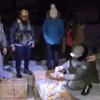 Intentaron contrabandear medicamentos veterinarios a campo traviesa hasta que fueron descubiertos por Gendarmería
