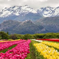 Imperdible lugar en Chubut: todo lo que tenés que saber de Trevelin