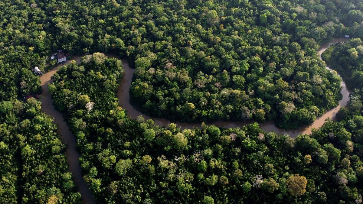 Vista de la selva amazónica
