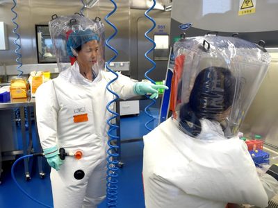 El Instituto de Virología de Wuhan reconoció que investigaba cepas del coronavirus en murciélagos