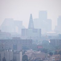 Secuelas de la contingencia en la CDMX