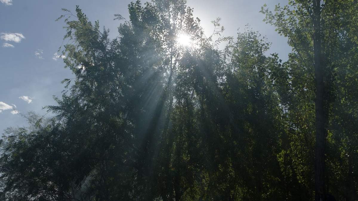 Sábado soleado y un poco menos coluroso. Fuente: (Emiliano Ortiz)
