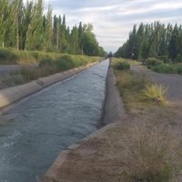 Se convirtió en héroe: Vecino de Centenario salvó a un chico de ahogarse en un canal