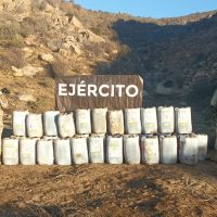Encuentran bajo tierra 2 mil litros de precursores químicos en Ensenada, Baja California