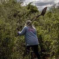 Caen presuntos asesinos de la activista Zenaida Pulido