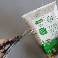 No las tires: transformá las cajas de leche vacías en este divino y útil proyecto para tus mini suculentas