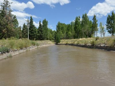 Cinco empresas interesadas en una obra para beneficiar a regantes de San Carlos