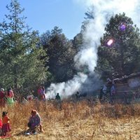 Denuncian tala ilegal en Choréachi, en la Sierra Tarahumara