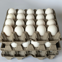 Huevos blancos o colorados: terminá de descubrir la diferencia entre ambos y qué tanto aportan a tu salud