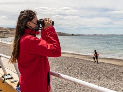 Rescate exitoso: un perro cayó al mar y lo salvaron de milagro
