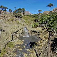 Soleado y cálido: así estará el clima este lunes en Neuquén