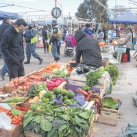 Ferias en Neuquén: cómo será su regreso. Los detalles