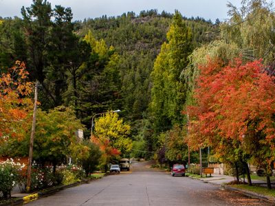 Tras un verano extraño, llegó el otoño a la Argentina con su caída de hojas y temperaturas