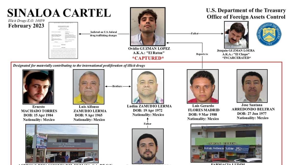 Diagrama del Cártel de Sinaloa