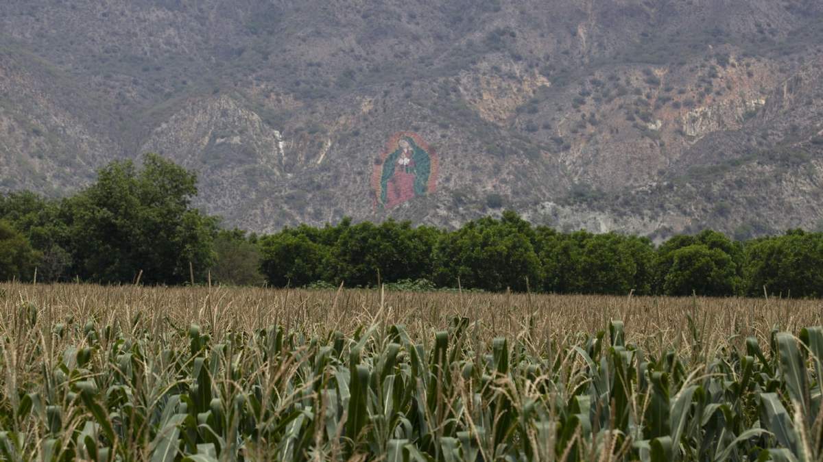 Una Virgen pintada en el cerro cuida las milpas en el Valle de Metztitlán, Hidalgo
