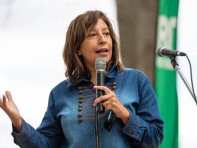 Carreras adelantó que la provincia votará separada de las nacionales