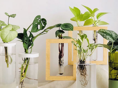 No tires las botellas de vino: mirá esta idea tan creativa para crear macetas a juego tipo "vinoteca"