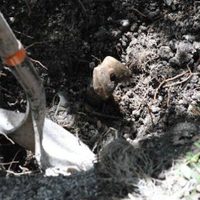 Identifican a tres desaparecidos por restos en fosas en Hidalgo