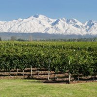 Los mejores Malbec de Argentina según revista especializada