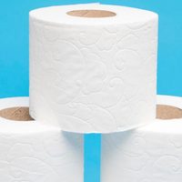 Con un poco de papel higiénico y sin gastar fortuna, creá estas hermosas rosas para decorar regalos