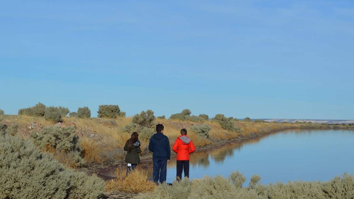 Laguna de Corfo en Trelew. Fuente: (Twitter)