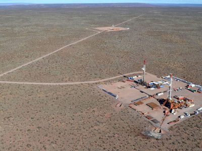 El Clúster de Vaca Muerta incluyó a 30 nuevas empresas