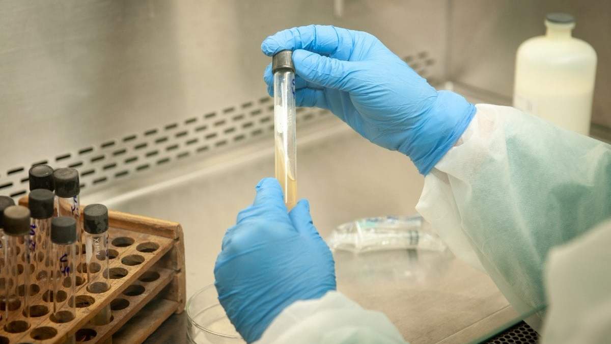 Investigación sobre el coronavirus. Fuente: (Twitter)