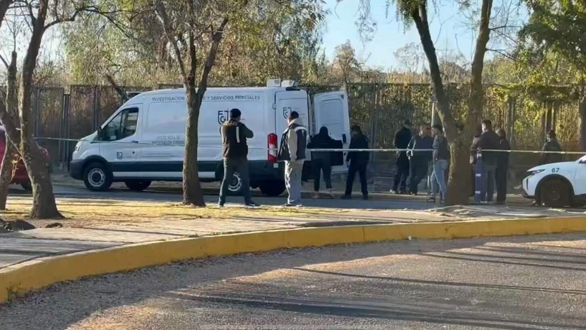 Hallan un cuerpo sin vida dentro de Ciudad Universitaria; la FGJCDMX abre investigación