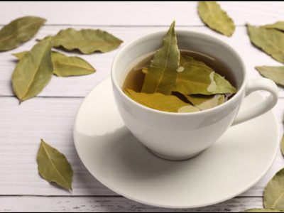 Cómo hacer la infusión de laurel y disfrutar sus beneficios digestivos, diuréticos y antiinflamatorios