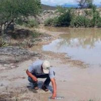 La Profepa confirma derrame causado por empresa de filial canadiense en río El Coyote, Oaxaca