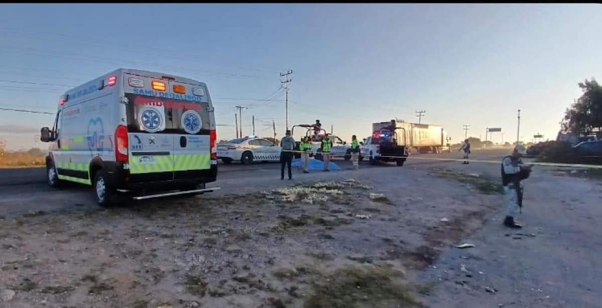 El hallazgo en la carretera de Ojuelos