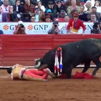 Toro “Heroico” atesta cornada al matador Héctor Gutiérrez en la Plaza México