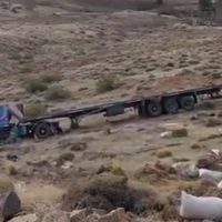 Accidente en Andacollo: un camión perdió los frenos y cayó 40 metros, el chofer resultó ileso
