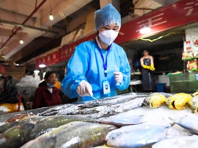 El coronavirus presente en los envases congelados puede contagiar: estudio