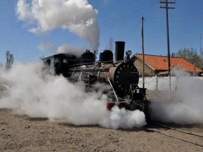 La Trochita volvió a surcar la meseta rionegrina