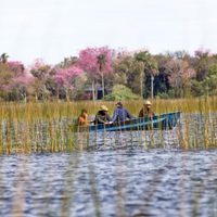 Turismo de naturaleza: el Parque Nacional Iberá vuelve a recibir viajeros