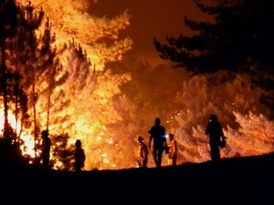La cifra de la destrucción: los incendios forestales en España consumieron miles de hectáreas
