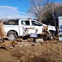 Policía y Fauna cayeron sobre una banda de cazadores furtivos