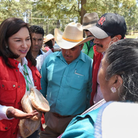 Acusan despojo de 90 hectáreas por parte de padres de candidata priista en San Felipe del Progreso