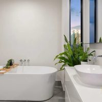 7 plantas hermosas ideales para tu baño que van a absorber toda la humedad