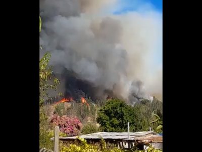El humo complica el combate a los incendios forestales en Chile